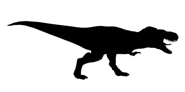 istock A black and white T-Rex silhouette stands powerfully against a clean white background, perfect for dinosaur-themed designs. Side view 2249933958