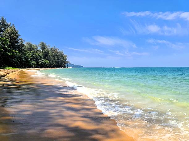 istock Shaded beach with turquoise water 2249939868