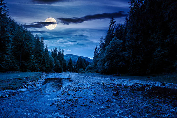 istock landscape with mountains, forest and a river in front at night 2249941696