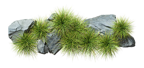 istock Aerial view hard rocks with grassy dense landscape on white backgrounds 3d illustrations 2249944824