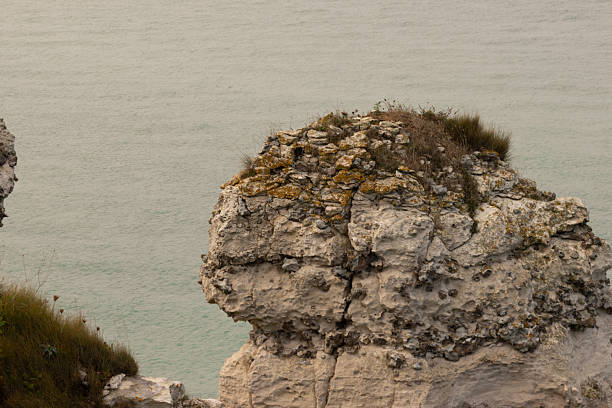 A rugged coastal cliff rising above the calm ocean on an overcast day, showing textured rock formations and natural vegetation along the shoreline.