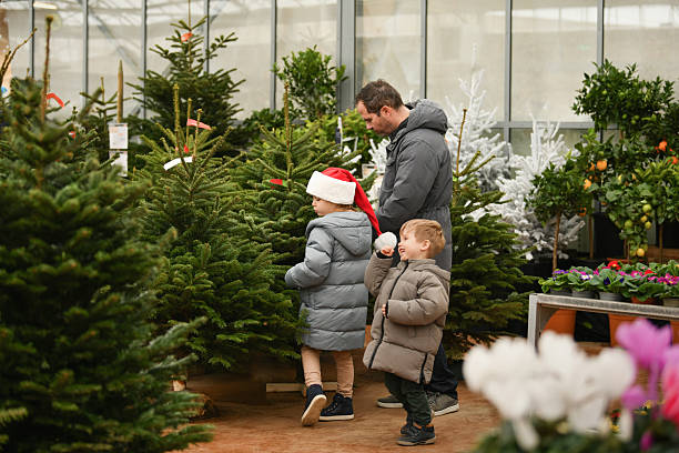istock Father and children choose a Christmas tree at a forestry. 2249949698