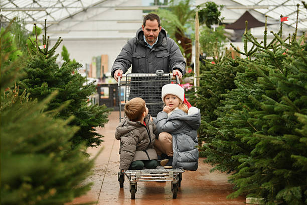 istock Father and children choose a Christmas tree at a forestry. 2249949700