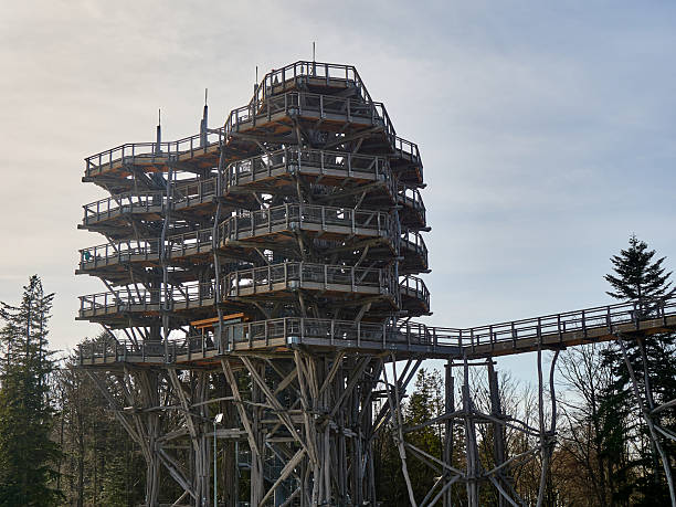 istock Large Wooden Observation Tower Treetop Walkway Structure 2249949970