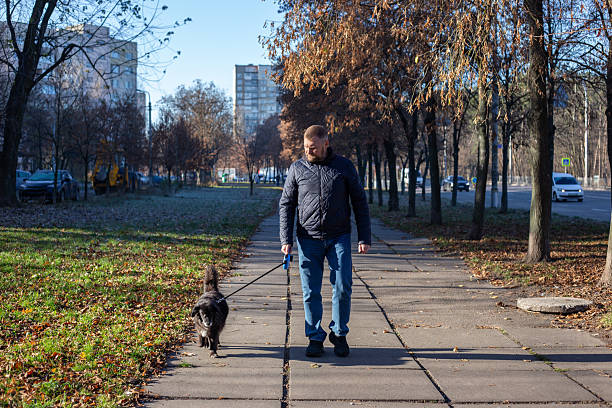 istock Man Walking Mixed-Breed Dog in Autumn Park 2249949985