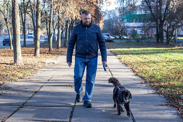 istock Man Walking Mixed-Breed Dog in Autumn Park 2249949989