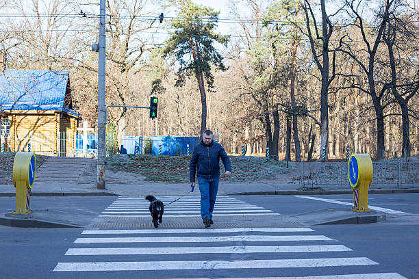 istock Man returns from his walk with the dog 2249949994
