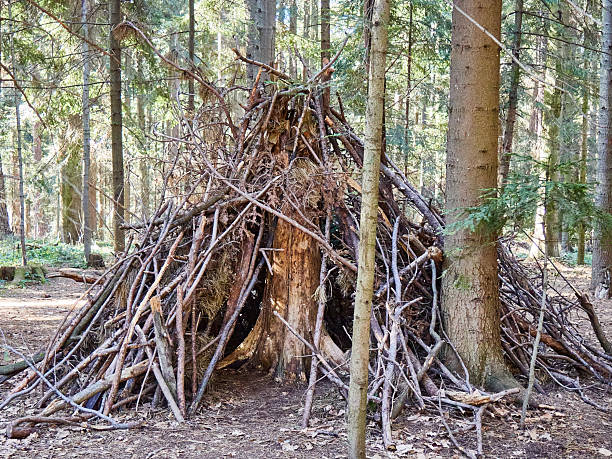 A photograph capturing a makeshift, primitive shelter (hut or den) constructed from interwoven fallen branches, sticks, and natural debris, located deep within a sun-dappled coniferous forest. The triangular structure is built against a large tree trunk, blending into the natural environment. The image evokes themes of wilderness survival, traditional crafts, outdoor play, camping, nature exploration, and the quiet, rustic life of the woods. The light filtering through the canopy highlights the organic texture of the materials.
