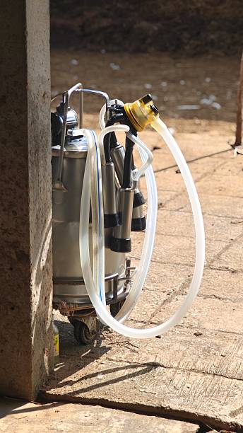 istock Cow milking machine in farm. 2249950288