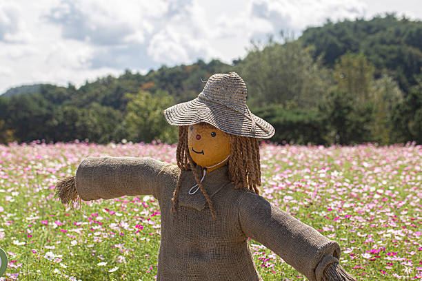 Close up shot of cute halloween harvest scarecrow doll