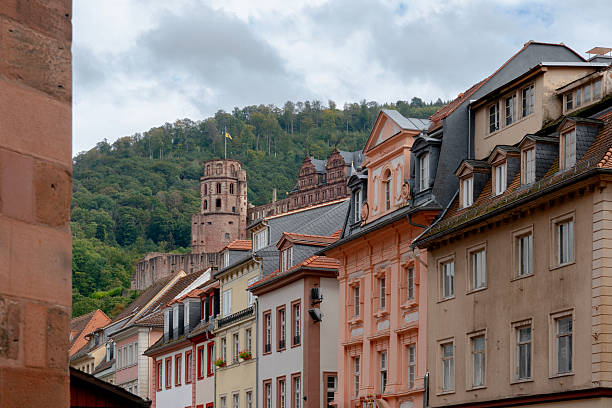 Heidelberg, Germany - June 22, 2020: A sunny sky highlights Heidelberg's historic buildings and lush hills in a stunning view.