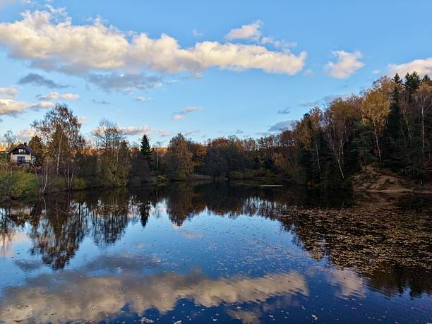 istock reflective lake with clouds and trees, tranquil water reflecting sky and surrounding nature 2249974688