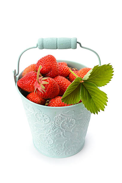 Decorative metal bucket filled with fresh strawberries and leaf isolated on white background