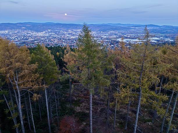 istock nighttime landscape with moonlight ambience, serene evening view featuring moonlit trees and mist 2249975425