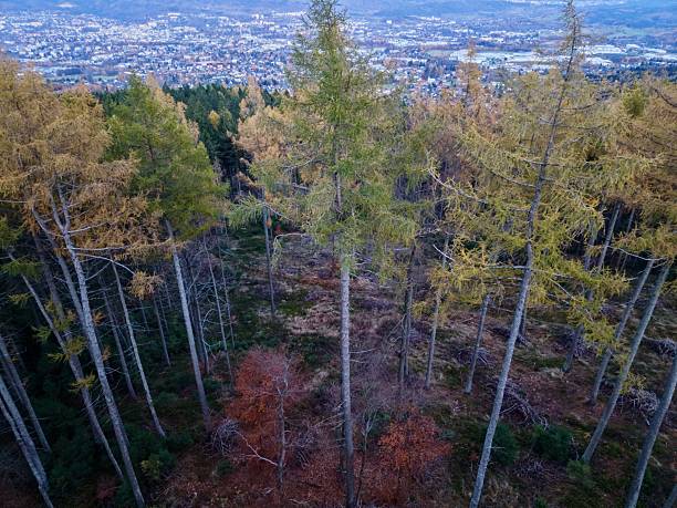 aerial survey captures vibrant transition between natural and urban environments for planning