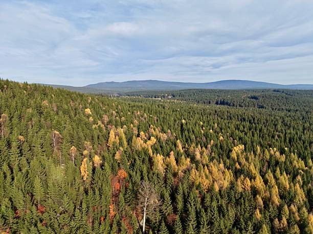 istock peaceful aerial view of vibrant fall foliage amidst distant mountain ridges and soft clouds 2249976243