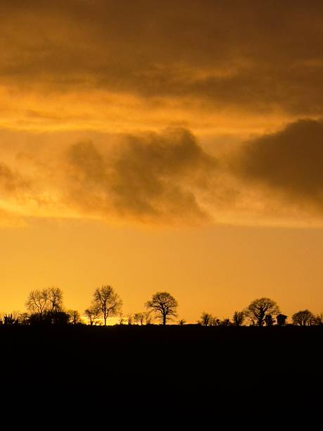 istock Sunset On The Treeline, Northamptonshire, England 2249976536