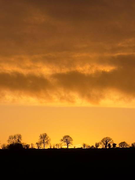 istock Sunset On The Treeline, Northamptonshire, England 2249976558
