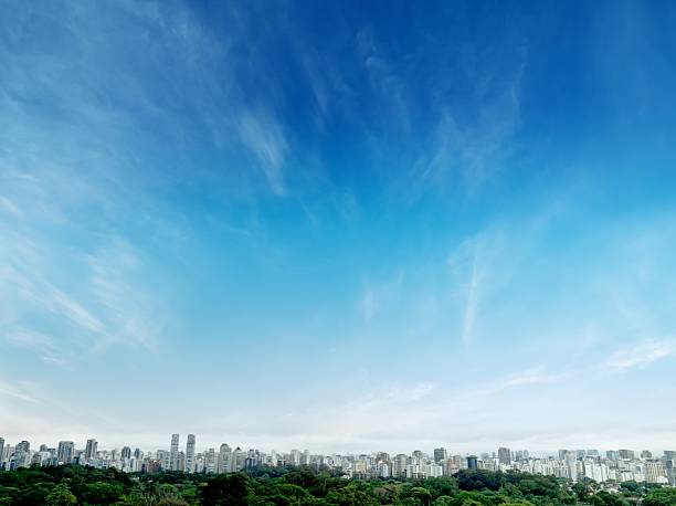 The cityscape is framed by lush green trees, creating a beautiful contrast with the buildings and the sky