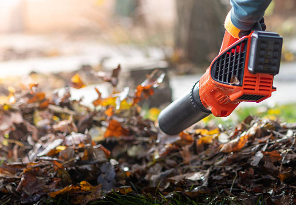 istock Person using a leaf blower to clear the leaves 2249976727