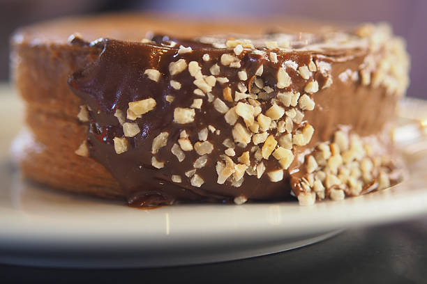 A rich pastry is generously covered in chocolate and sprinkled with nuts.
