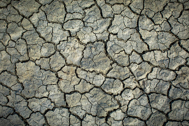 A dry land