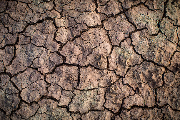 Background image of dry and cracked land