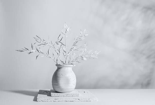 istock Still life with white dried branches with leaves in light ceramic vase on stone blocks on white background with shadows. Home decoration with dried flowers. Color of the year 2026 2249987571