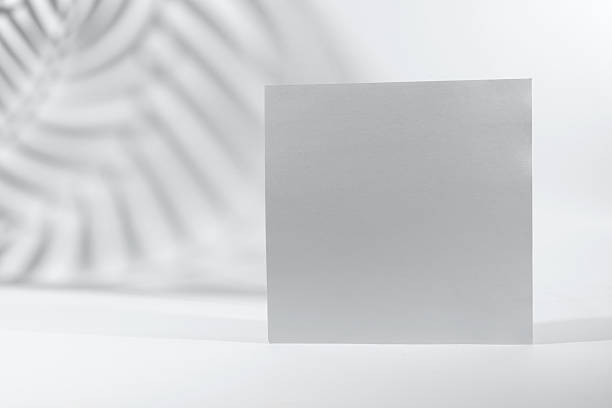 istock White Paper sheet or blank card with realistic leaf shadows. Creative background with empty sheet of paper with copy space. Color of the year 2026 2249987579