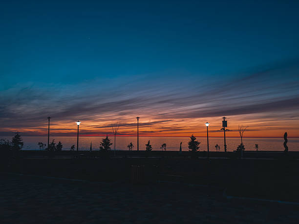 Batumi, Arjara, Georgia, Saqartvelo - Silhouetted Trees and Wrapped Plants on Promenade at Vibrant Sunset