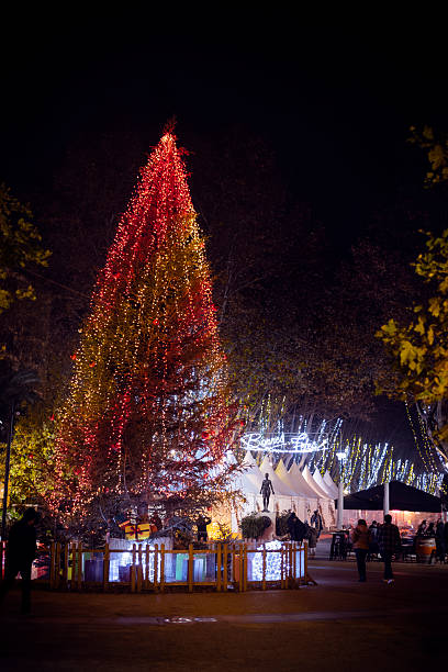 istock Large Christmas Tree Illuminated with Red and Gold Lights at Night 2250006458
