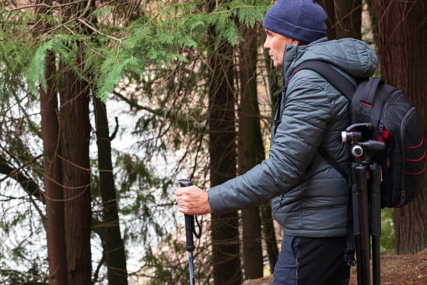 istock Exploring nature trails in tranquil woods during a peaceful autumn afternoon 2250021766