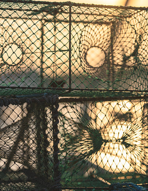 istock Stacked fishing traps with netted mesh patterns in low sunlight. 2250023322