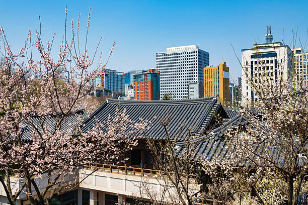 Skyline of Seoul with cherry blossoms in downtown Seoul, Jung district, during spring.