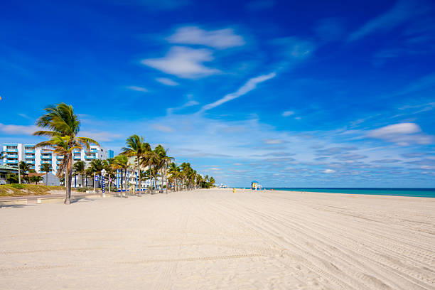 istock Summer or winter scene Hollywood Beach Florida 2025 2250025977