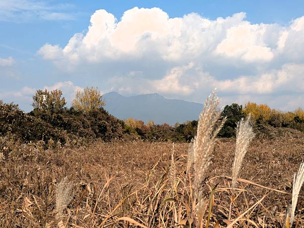 Autumn landscape.