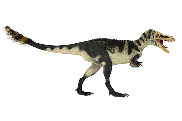istock Alioramus altai Dinosaur Profile 2250031751