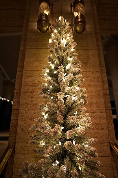 istock Elegant Christmas Tree with White Lights 2250031844