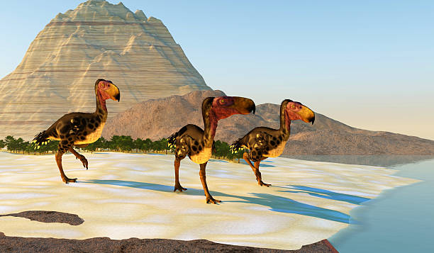 istock Kelenken Birds on Beach 2250031923