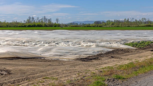 istock Geotextile Fabric Agriculture Field 2250034816