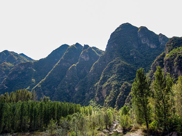 A picturesque mountain range with dense green trees and uneven peaks, showcasing natural beauty.