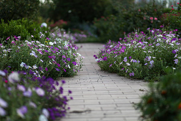 Flower garden at Khao Yai, Korat, Thailand.