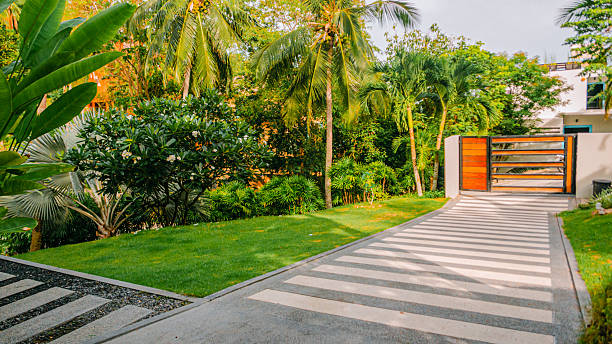 istock Tropical Garden with Palm Trees, Green Lawn, Modern Gate 2250041013