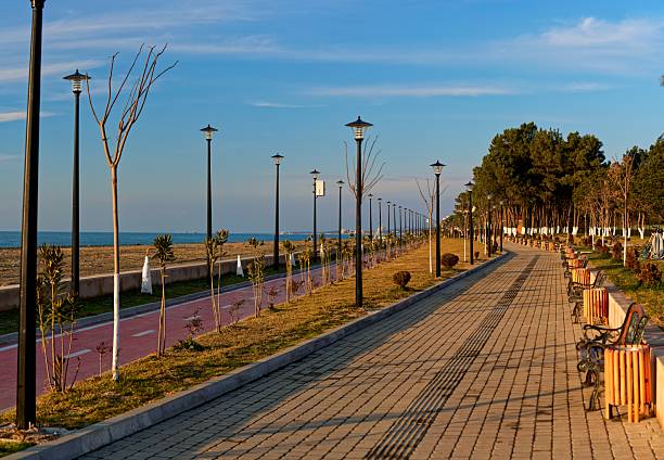 istock Empty Coastal Promenade with Benches, Streetlights, and Pine Trees 2250041197