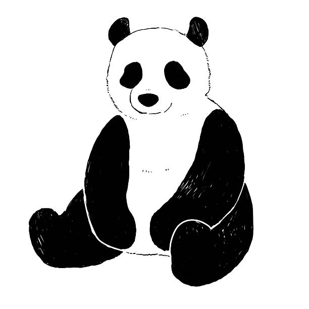 digital illustration