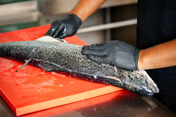 istock Salmon Filleting Process  Chef Cutting Fresh Salmon Fish for Cooking Preparation 2250044859