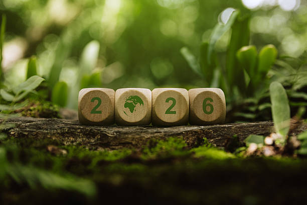 istock Wooden cube 2026 in forest. 2250048770