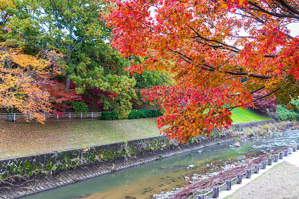 istock Tatsuta River in Nara Prefecture, colored by autumn leaves 2250051206