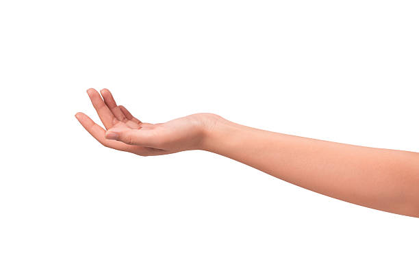 istock Close-up of a beautiful empty hand gesture isolated on a white background. 2250052969