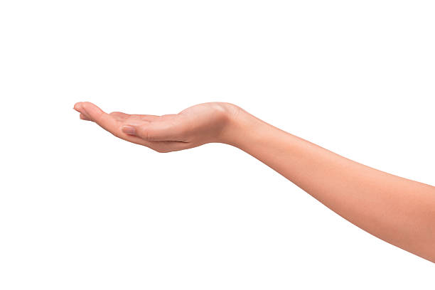 istock Close-up of a beautiful empty hand gesture isolated on a white background. 2250052971